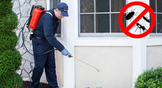 Karşıyaka Kemirgen İlaçlama böcek ilaçlama ve haşere kontrolü — ilaclama-tr.com